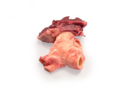 imagem de Válvulas